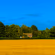Colours of Home