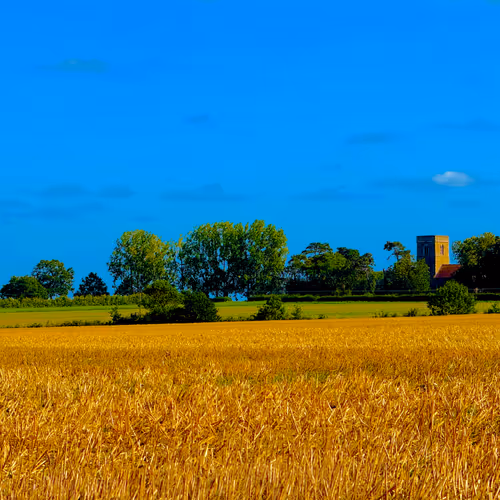 Colours Of Home