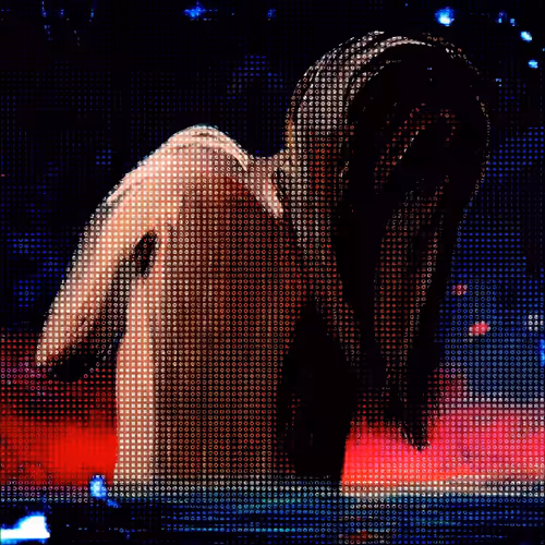 Polaris Episode 1 Curated By Rocketgirl