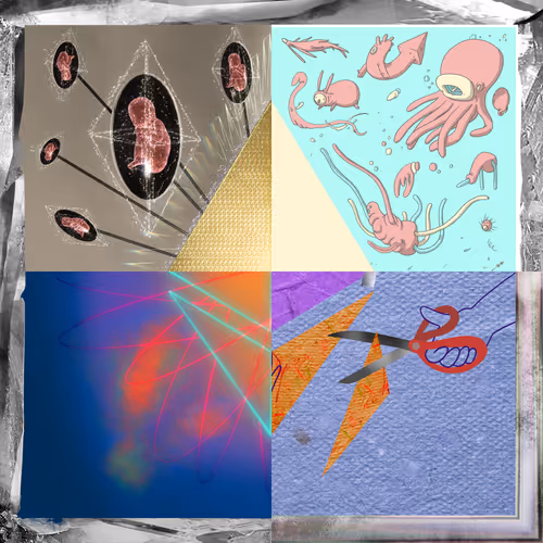 The Infinite Machine Collection