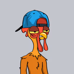 33