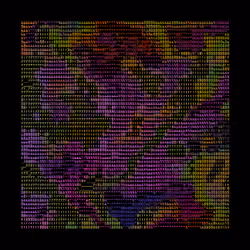 ASCIIV #331