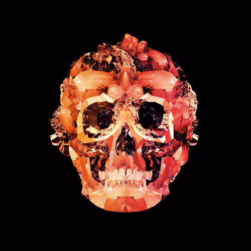 Facets365