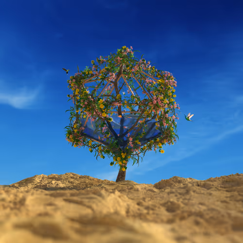 Facets365
