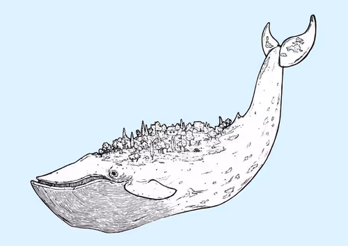 Whale Island