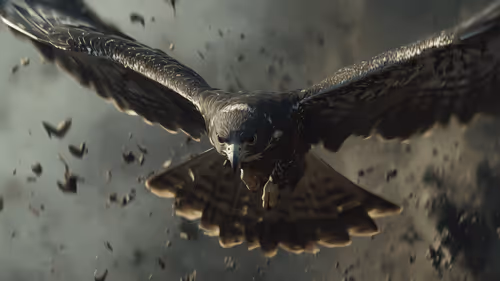 Item #4 Media