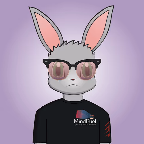 The Rabbit 2023 Ready2wear