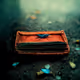 The Lost Wallet