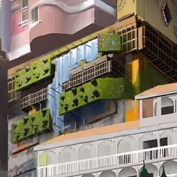 The Ferns