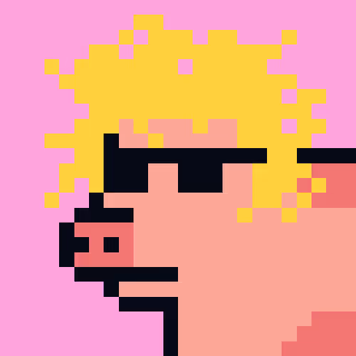 Cryptoporks 1