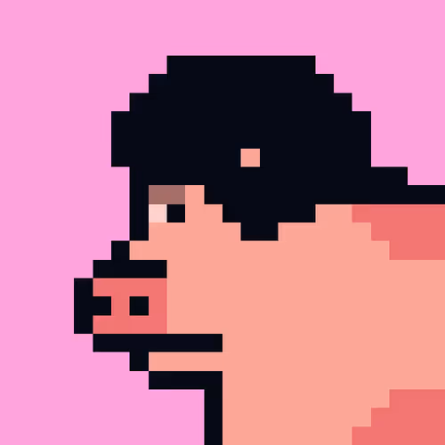 Cryptoporks 1
