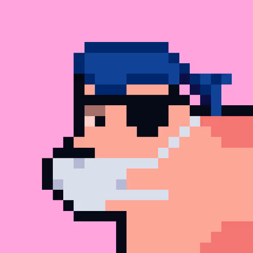 Cryptoporks 1