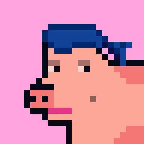 Cryptoporks 1