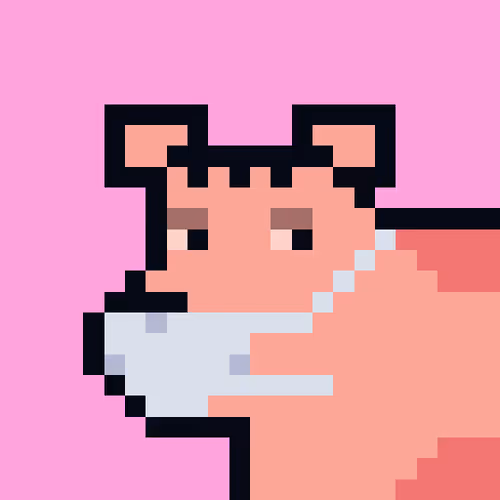 Cryptoporks 1
