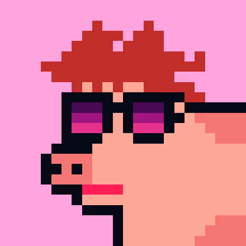 Cryptoporks 1