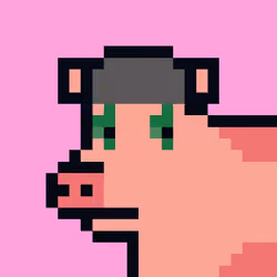 CryptoPork #508