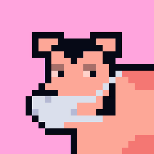 Cryptoporks 1