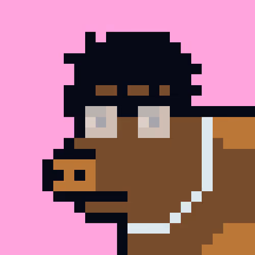 Cryptoporks 1