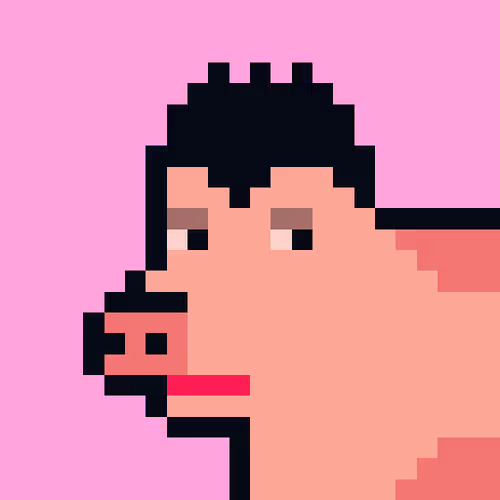 Cryptoporks 1