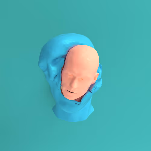 Item #51100030002 Media