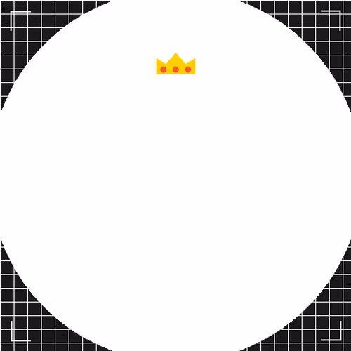 Circlesnft 