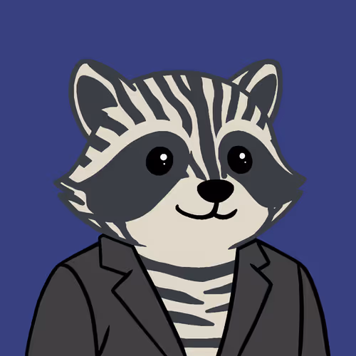 The Chill Raccoons