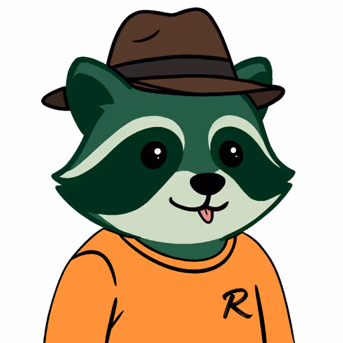 The Chill Raccoons
