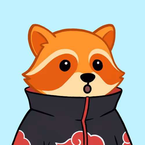 The Chill Raccoons
