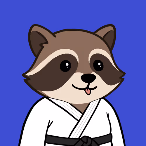 The Chill Raccoons