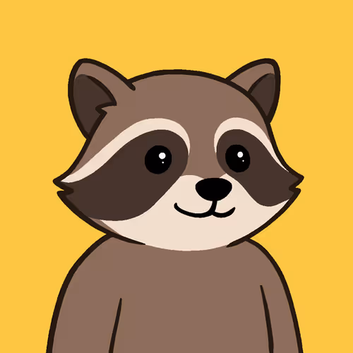 The Chill Raccoons