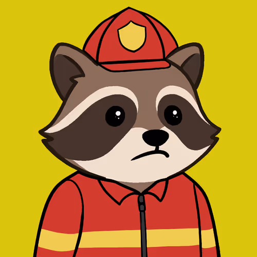 The Chill Raccoons
