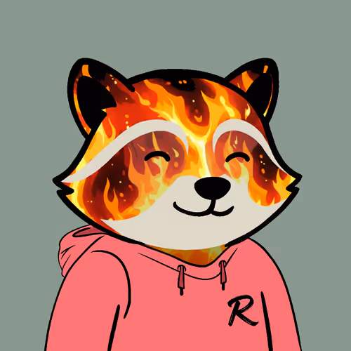 The Chill Raccoons