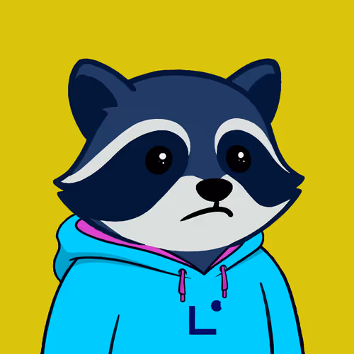 The Chill Raccoons