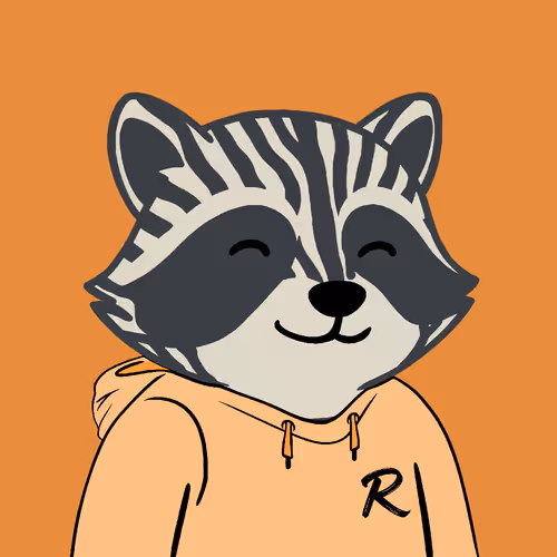 The Chill Raccoons