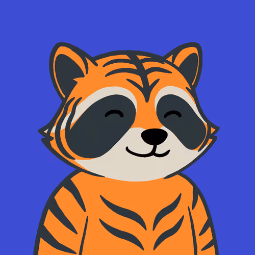 The Chill Raccoons