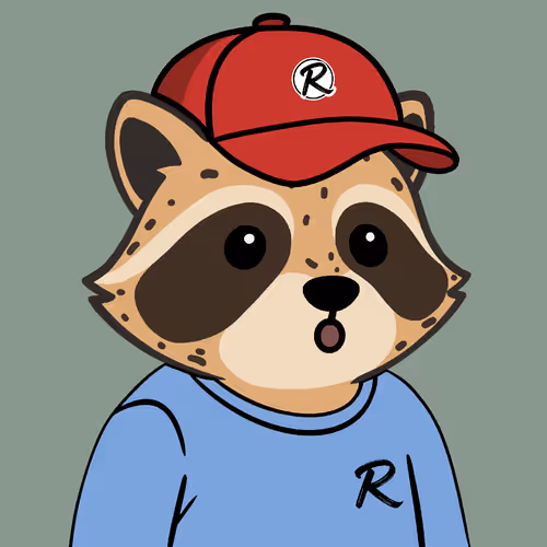 The Chill Raccoons