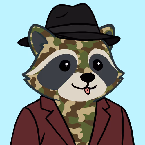 The Chill Raccoons