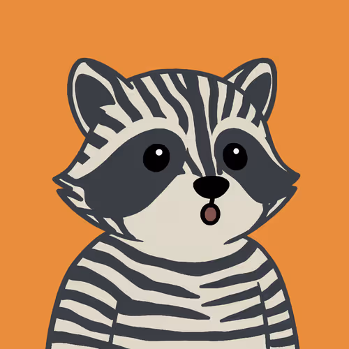 The Chill Raccoons