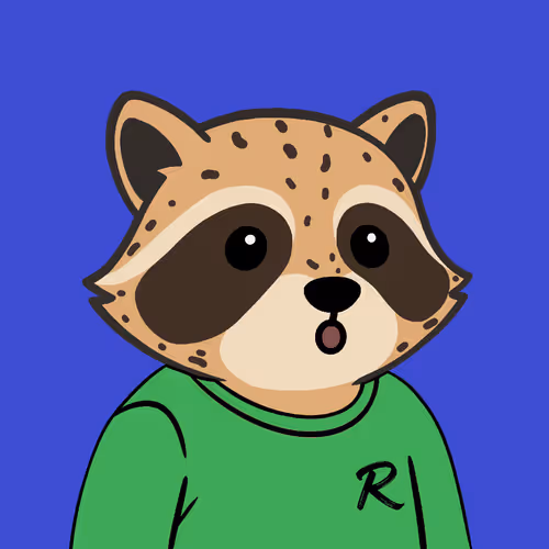 The Chill Raccoons