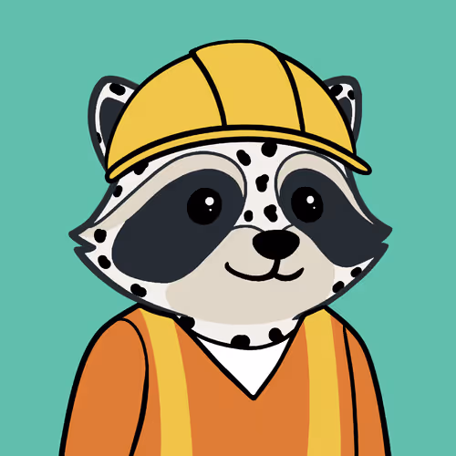 The Chill Raccoons