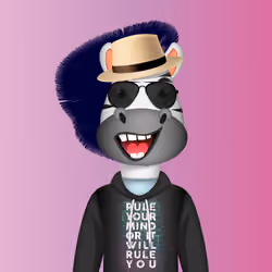 Zebra Republic Inc #261