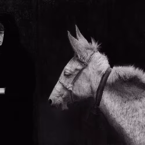 Stories from Matthew. Flight to Egypt