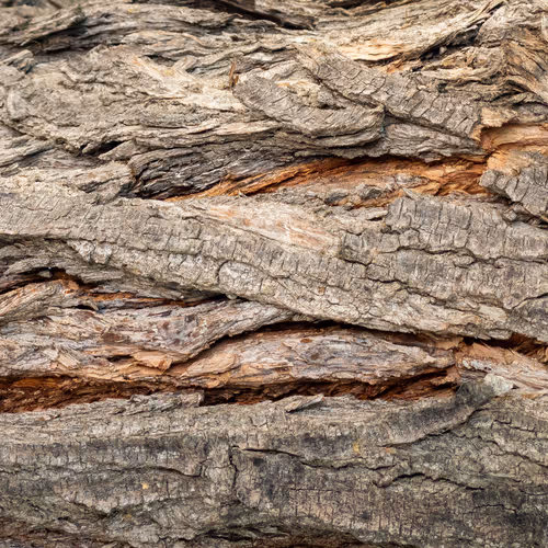 Nature Signatures
