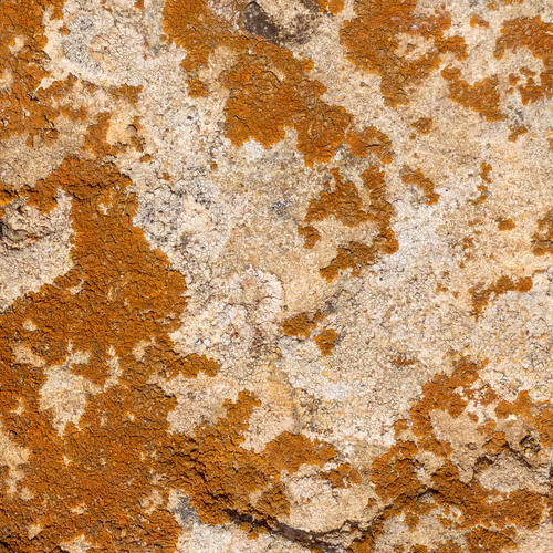 Nature Signatures