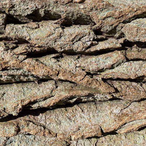 Nature Signatures