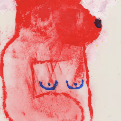 bear - not nude