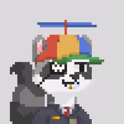 Raccoon Gang #9078