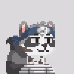 Raccoon Gang #1169
