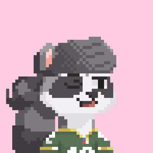 Raccoons Gang