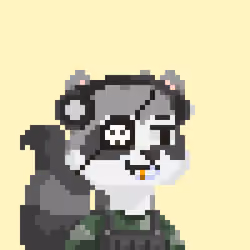 Raccoon Gang #1017